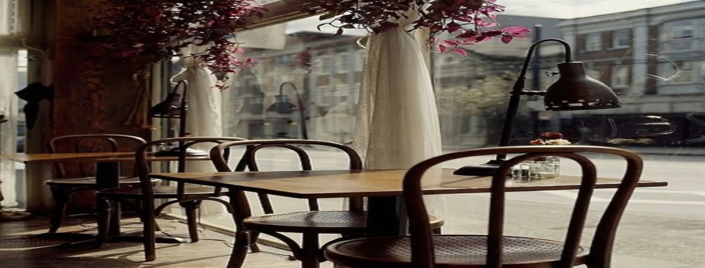 Image for Peaceful Culinary Escapes